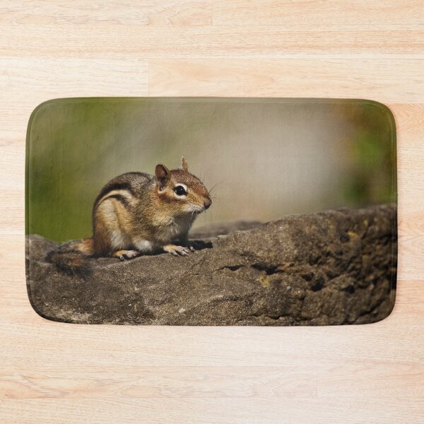 Item preview, Chipmunk designed and sold by Michael Cummings.