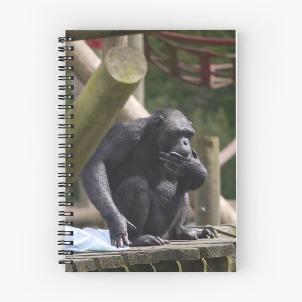 Item preview, monkey fun designed and sold by susiesart.