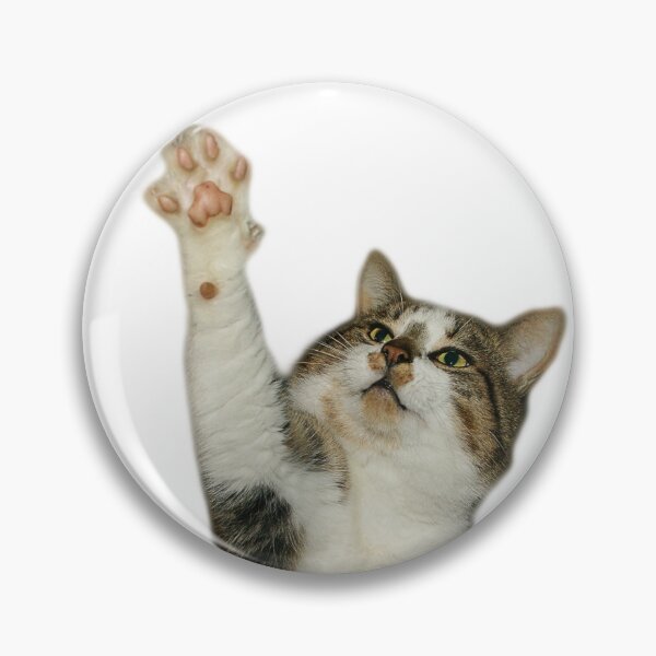 Item preview, Kitten designed and sold by flashcompact.