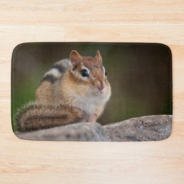 Item preview, Chipmunk designed and sold by Michael Cummings.