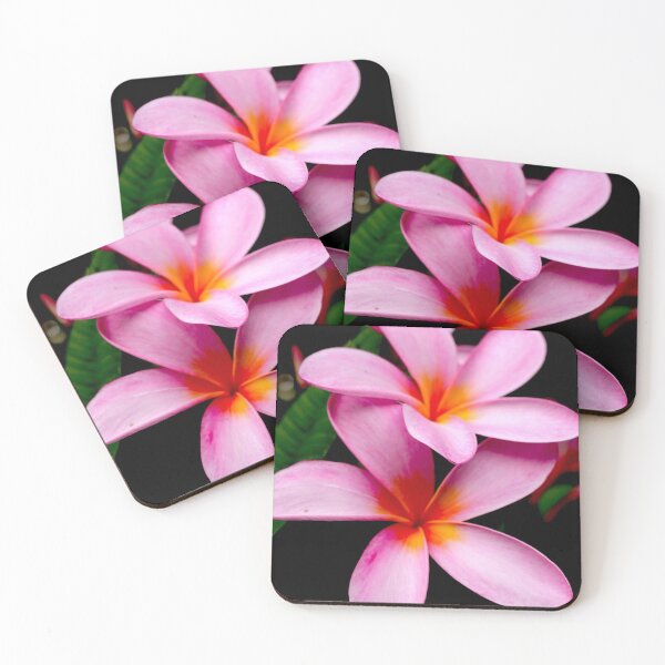 Artikelvorschau, Rosa Frangipani 4 entworfen und verkauft von Geoff Treagus.
