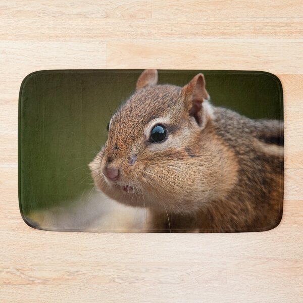 Item preview, Chipmunk designed and sold by Michael Cummings.