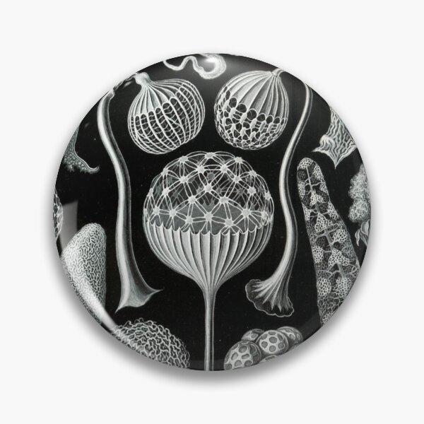 Item preview, Ernst Haeckel - Mycetozoa Illustration designed and sold by REACTIVIST.