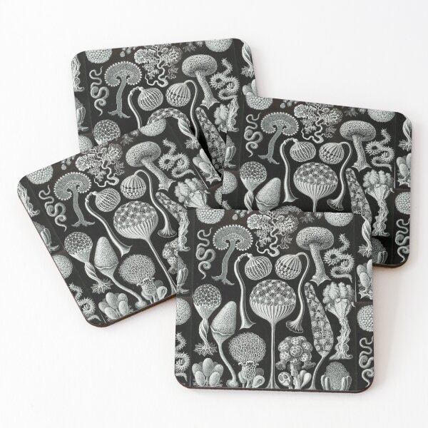 Item preview, Ernst Haeckel - Mycetozoa Illustration designed and sold by REACTIVIST.