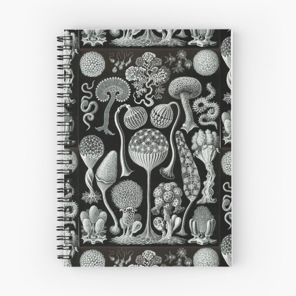 Item preview, Ernst Haeckel - Mycetozoa Illustration designed and sold by REACTIVIST.