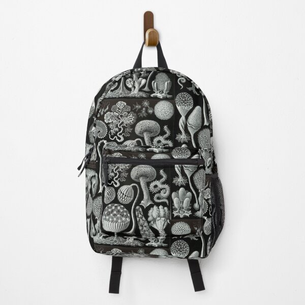 Item preview, Ernst Haeckel - Mycetozoa Illustration designed and sold by REACTIVIST.