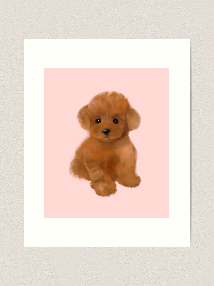 cavapoo stuffed animal