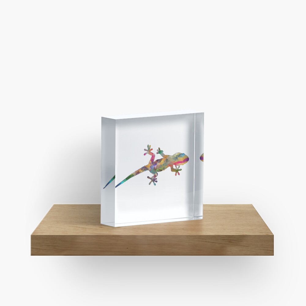 Colourful Gecko Print Acrylic Block