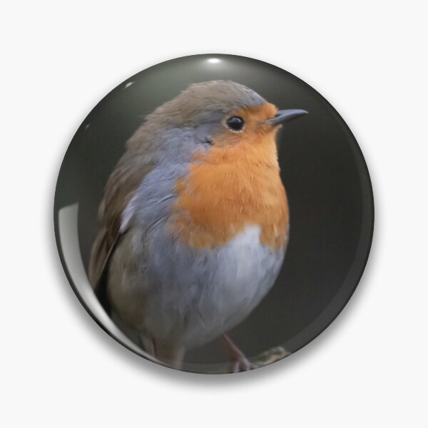 Item preview, Robin designed and sold by Philip Butler.