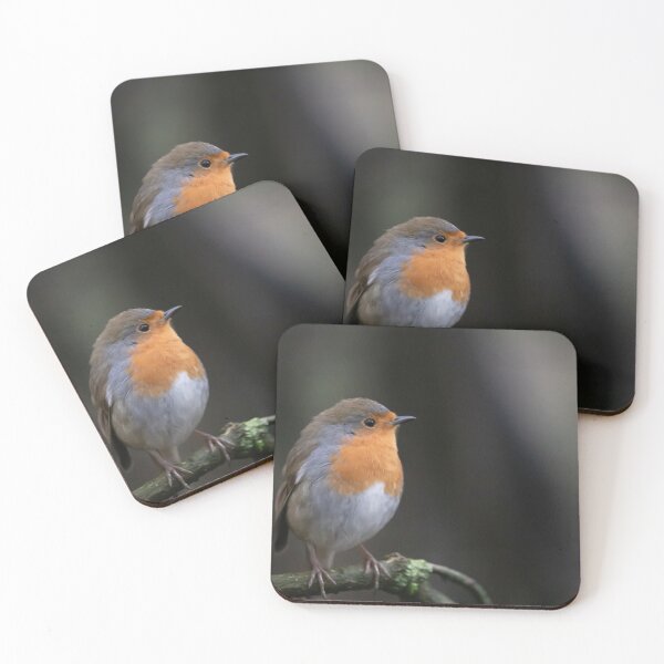 Item preview, Robin designed and sold by Philip Butler.