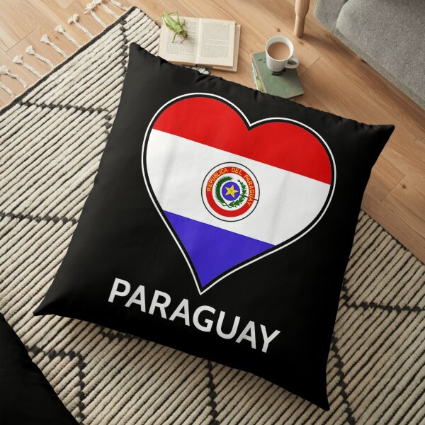 Paraguay Paraguayan Heart Shaped National Flag Tourist Floor Pillow