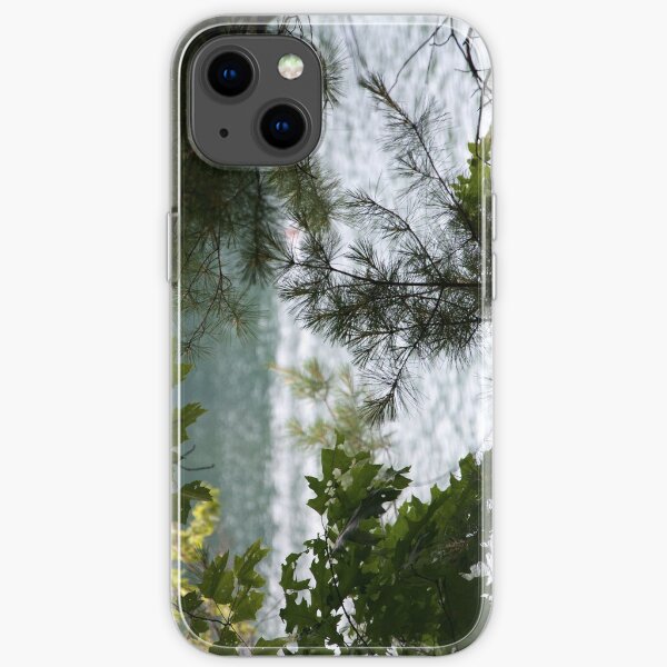 Walden Pond from the Woods iPhone Soft Case