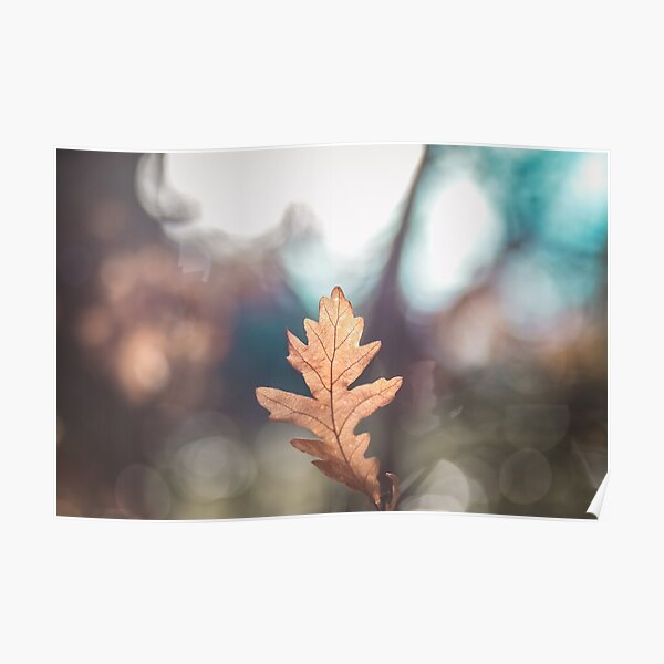 Leaf Poster