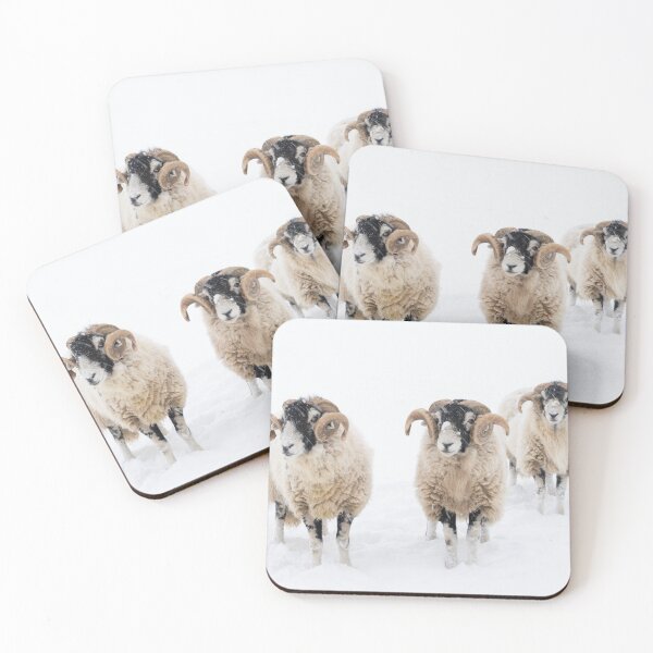 Item preview, Swaledale Rams in Snow designed and sold by HAPhotography.