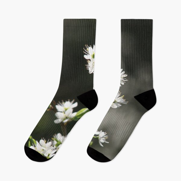 Artikelvorschau, Kirschblüten im Frühling entworfen und verkauft von bernd49.