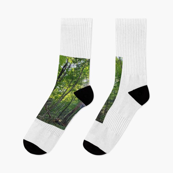 Item preview, Sun shinning through the trees on the trail  designed and sold by Taleta Hollis.