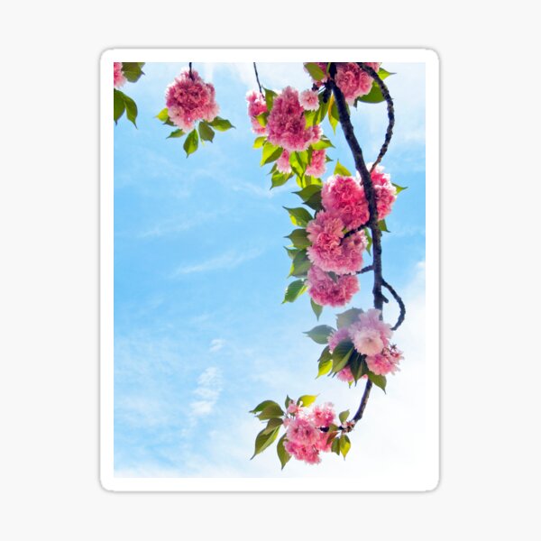 Item preview, Blooming Blossoms  designed and sold by ginawaltersdorf.