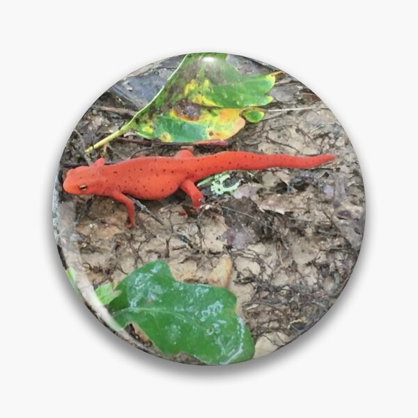 Artikelvorschau, Red Eastern Newt with Foliage Around entworfen und verkauft von Taleta Hollis.