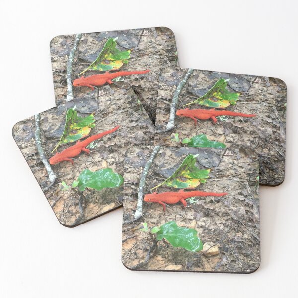 Item preview, Red Eastern Newt with Foliage Around designed and sold by Taleta Hollis.