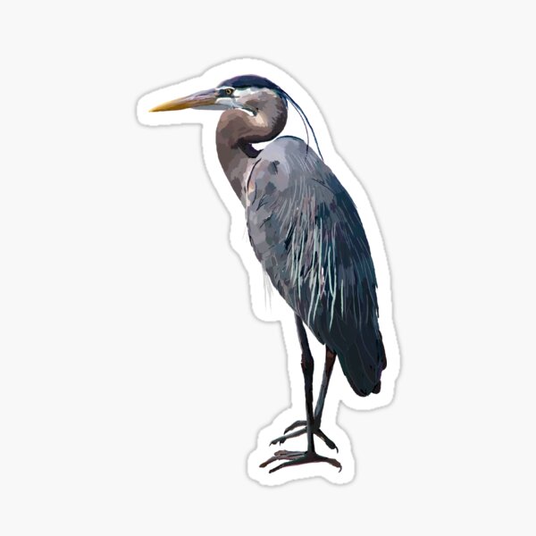 Item preview, Great blue heron  designed and sold by Jesssteinbach.