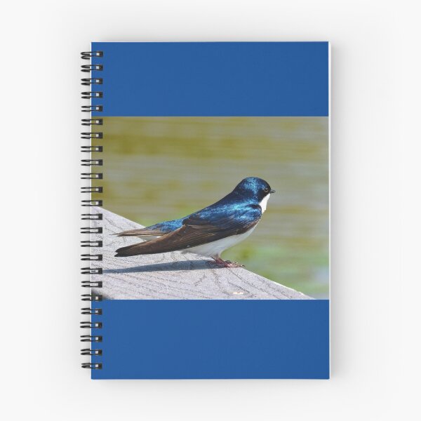 Item preview, Terrance The Tree Swallow  designed and sold by Lanis Rossi.