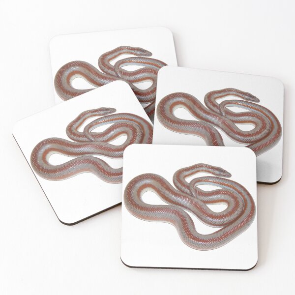 Item preview, Rosy Boa designed and sold by bubbaclez.