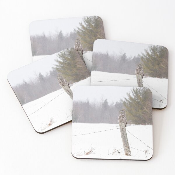 Item preview, Great Grey Owl in Winter designed and sold by James Cumming.