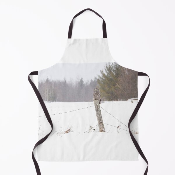 Item preview, Great Grey Owl in Winter designed and sold by James Cumming.