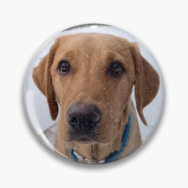 Item preview, Dexter the Fox Red Labrador - Winter Walks designed and sold by DexterFRL.