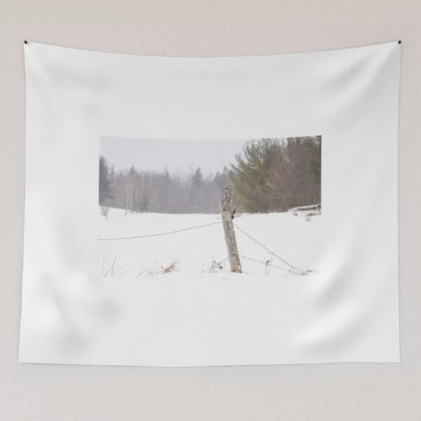 Item preview, Great Grey Owl in Winter designed and sold by James Cumming.