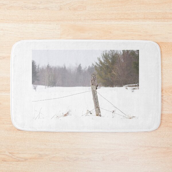 Item preview, Great Grey Owl in Winter designed and sold by James Cumming.