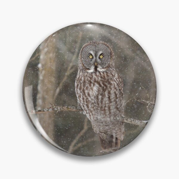 Item preview, Great Grey Owl perched designed and sold by James Cumming.