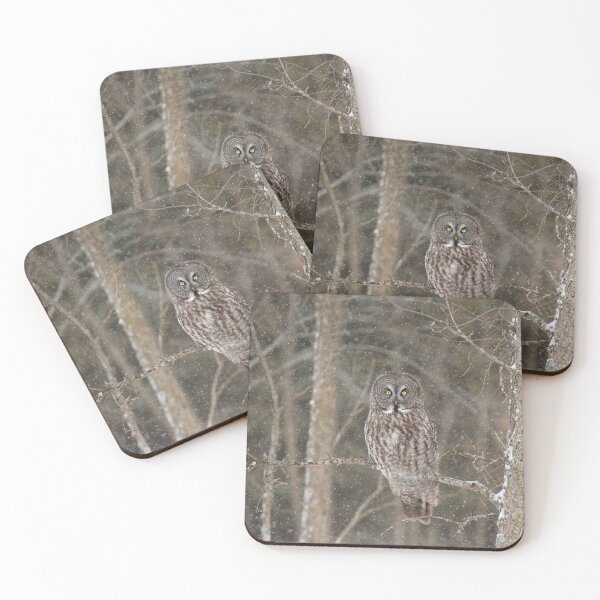 Item preview, Great Grey Owl perched designed and sold by James Cumming.