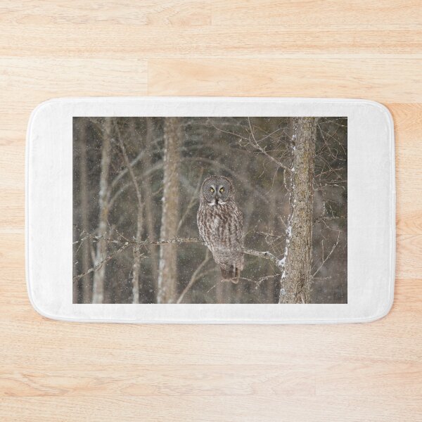 Item preview, Great Grey Owl perched designed and sold by James Cumming.