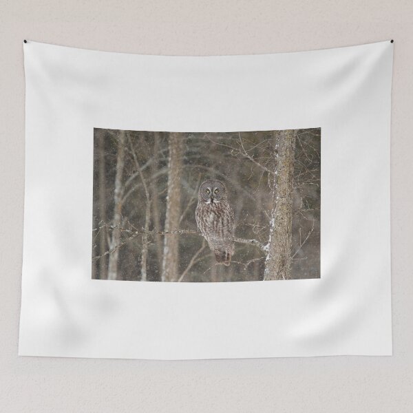 Item preview, Great Grey Owl perched designed and sold by James Cumming.