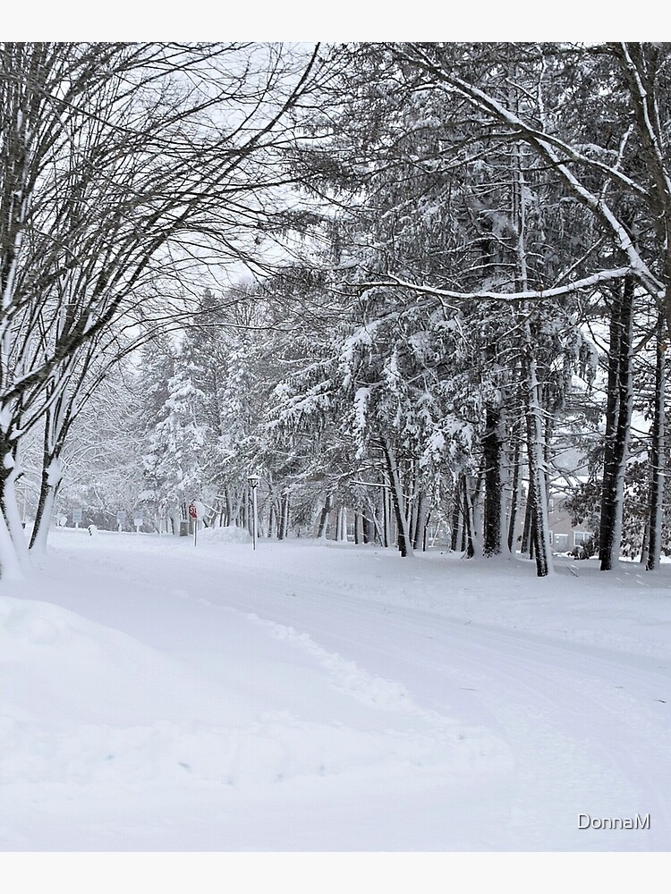 Winter Drive by DonnaM