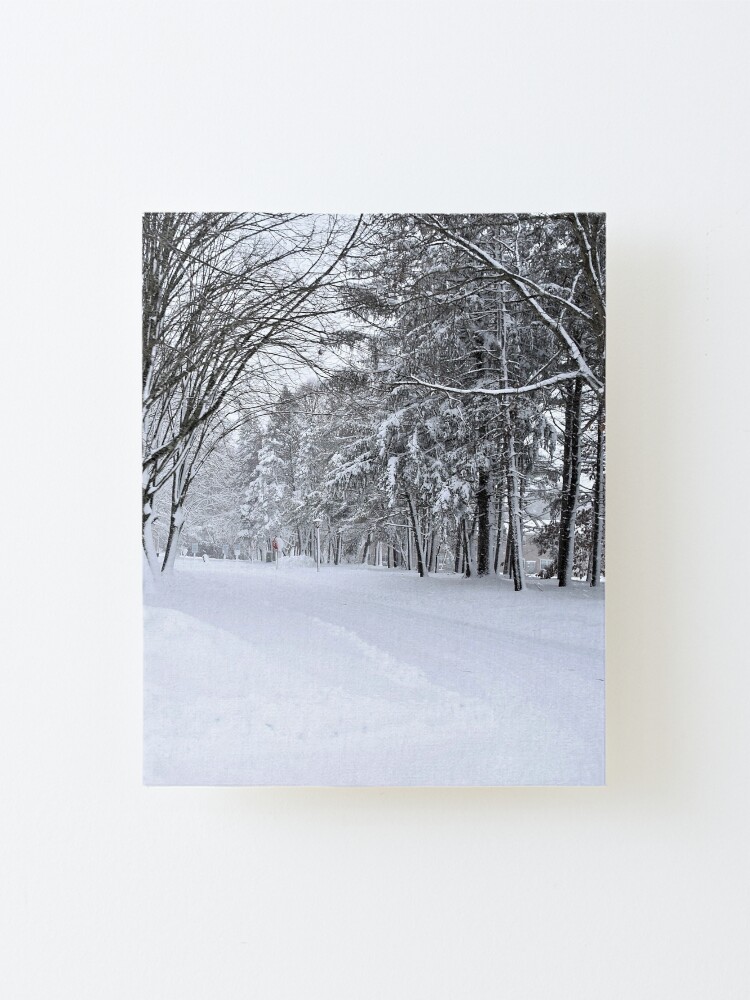 Alternate view of Winter Drive Mounted Print
