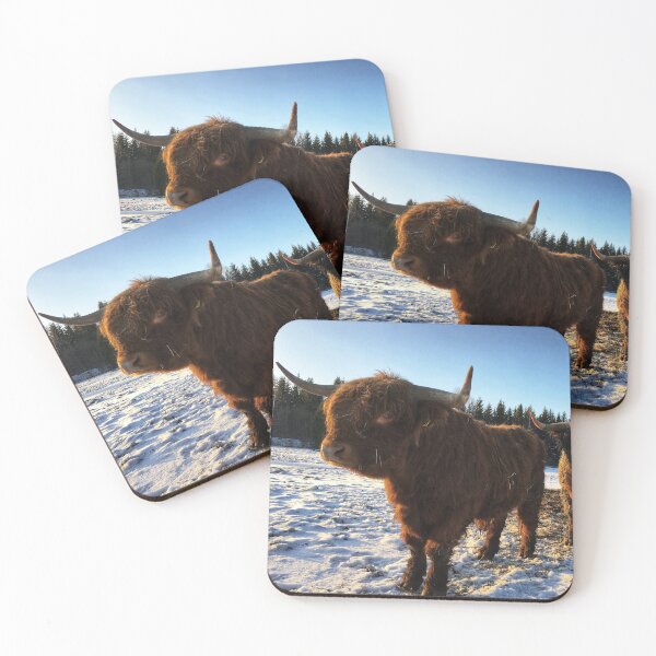 Item preview, Scottish Highland Cattle Bulls 2257 designed and sold by SaarelaHighland.