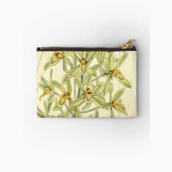 Item preview, Cymbidium chloranthum designed and sold by EsotericBotanic.