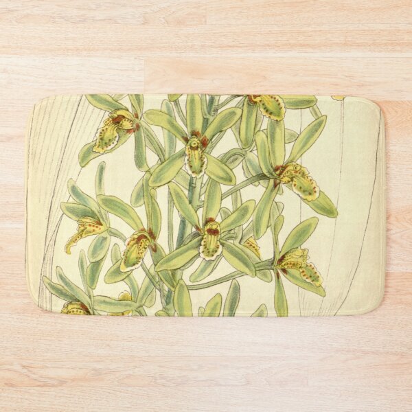 Item preview, Cymbidium chloranthum designed and sold by EsotericBotanic.