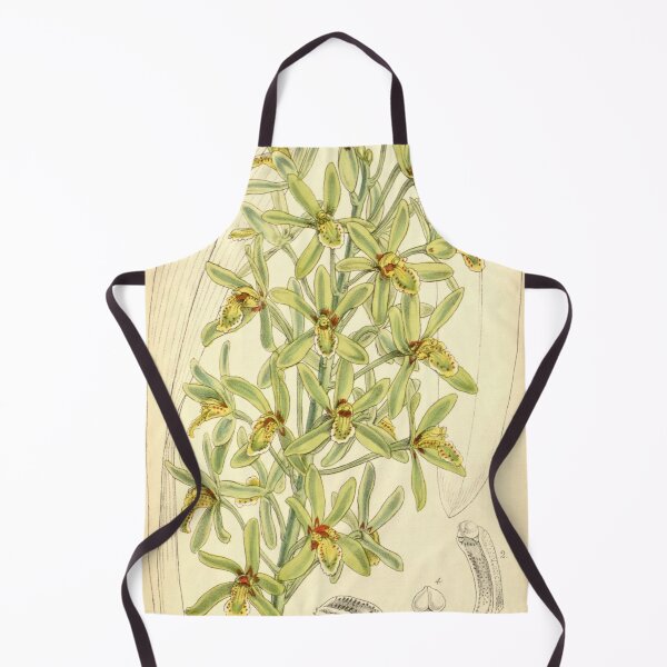 Item preview, Cymbidium chloranthum designed and sold by EsotericBotanic.