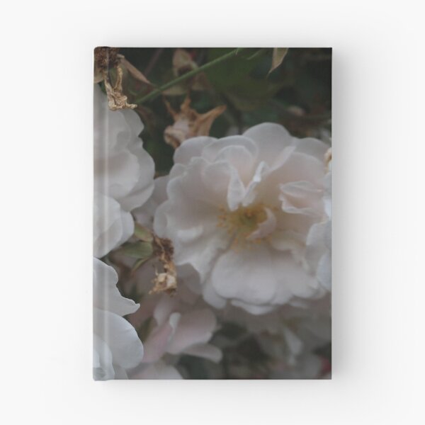 Item preview, Wild white rose designed and sold by Anne Nolan.