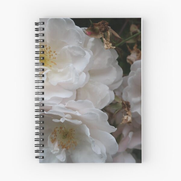 Item preview, Wild white rose designed and sold by Anne Nolan.