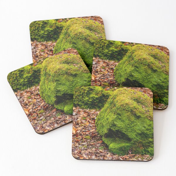 Item preview, Talking Rocks in the woodland designed and sold by Dalyndigital Photography.