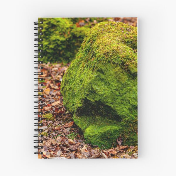 Item preview, Talking Rocks in the woodland designed and sold by Dalyndigital Photography.