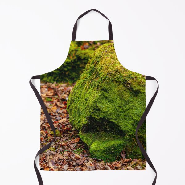Item preview, Talking Rocks in the woodland designed and sold by Dalyndigital Photography.