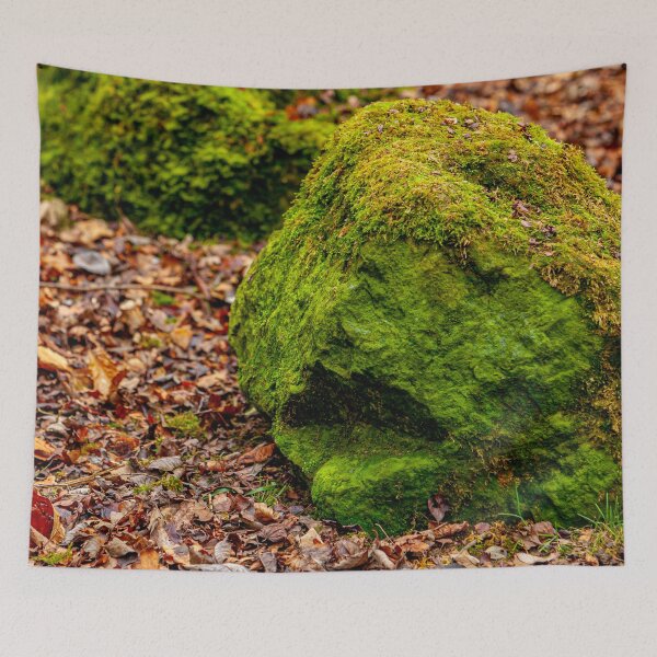 Item preview, Talking Rocks in the woodland designed and sold by Dalyndigital Photography.