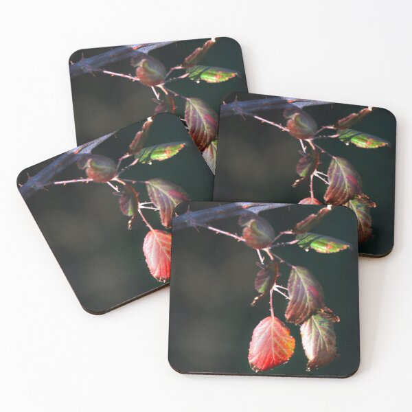 Item preview, Sunlit. designed and sold by Paul Pasco.
