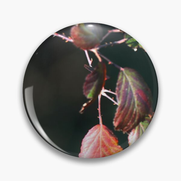 Item preview, Sunlit. designed and sold by Paul Pasco.