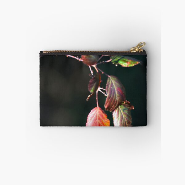 Item preview, Sunlit. designed and sold by Paul Pasco.